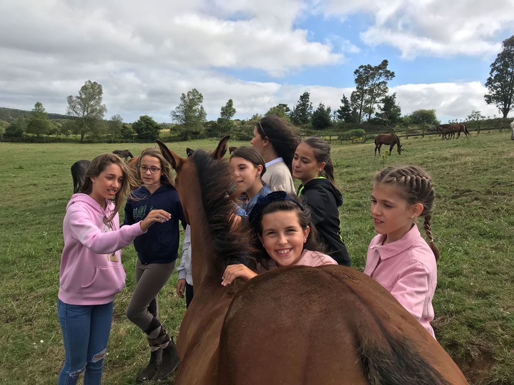 Horse Camp Marco Das Pas