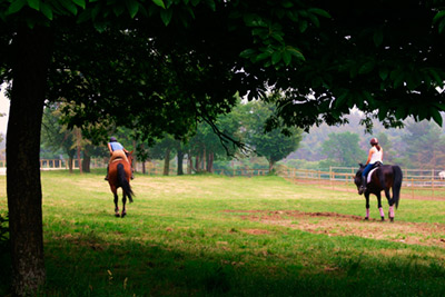 Campamento Ecuestre Galicia