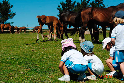 Campamento Ecuestre Galicia